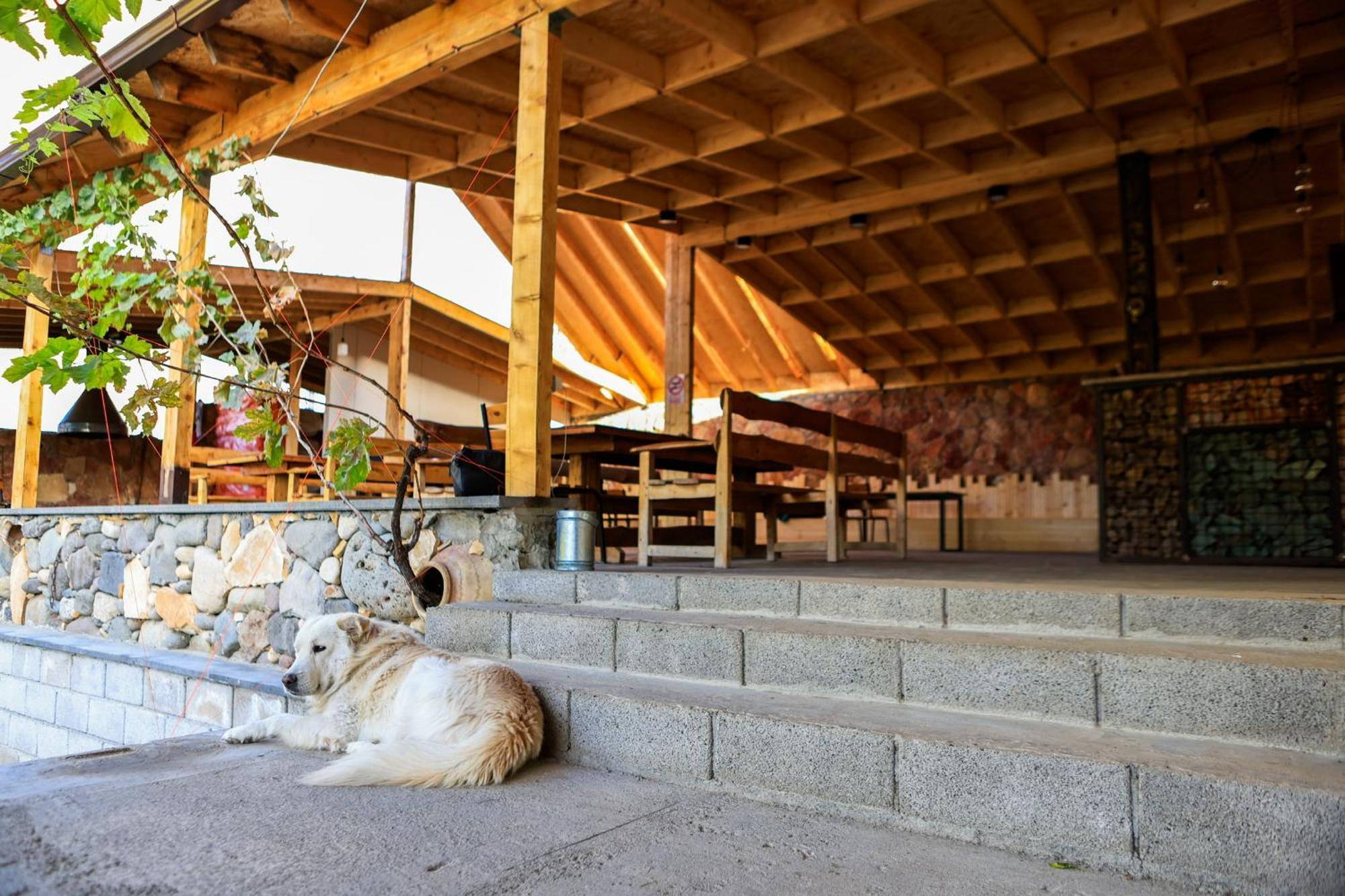 Areni Wine Art Bed & Breakfast Exterior photo